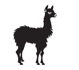 Fototapeta premium Llama black silhouette