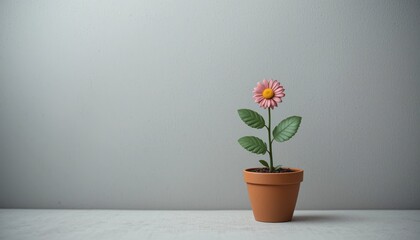 Fototapeta premium Growing beauty a potted pink flower against a neutral background indoor plant photography minimalist aesthetic close-up perspective