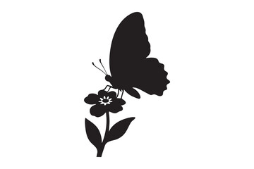 butterfly silhouette black isolated on black and white background