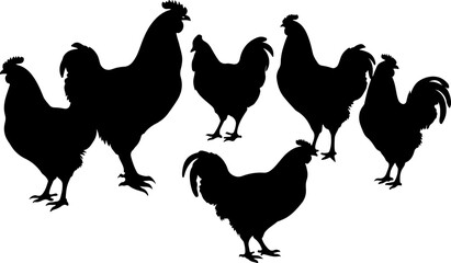Silhouette image shows six chickens