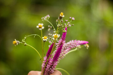 A bucket of wild flowers