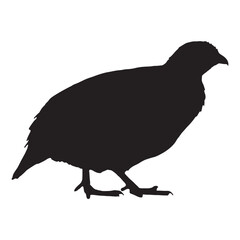 Quail Silhouette Design for Wildlife, Bird, and Nature Artworks.eps