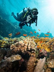 Scuba Diver Swimming in Deep Sea with Sunrays and Beautiful Coral Reef with Colorful Fishes