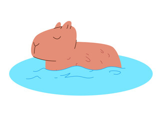 Capybara capibara relaxed in water cute vector flat illustration sticker cartoon character