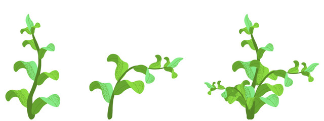 Set Spring branches with modern grunge Noise Texture. Spring plants isolated transparent background. Vector illustration with Grain Textured. Spring graphic collection. EPS 10