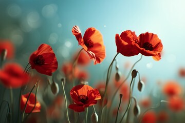 Obraz premium Vibrant red poppies in a sunlit field, a concept for Mother's Day cards, Remembrance Day, or Valentine's Day greetings