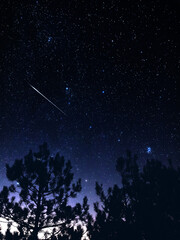 Milky Way stars, planets, comets and meteor shower trails and countryside tree silhouettes.