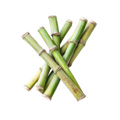 Obraz premium Fresh sugarcane stalks arranged in bundle, showcasing their vibrant green color and texture