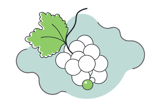 recommend clip art: White Currant Fruit Line Art Illustration