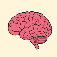 Illustration of a human brain in pink, emphasizing its intricate folds and grooves.