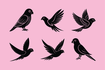 Lovebird bird, silhouette vector illustration