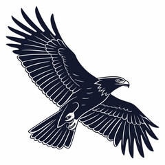 Obraz premium eagle in flight