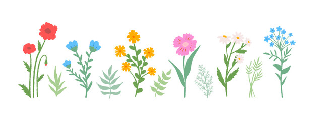 Flowers set hand drawn pencil. Cute simple doodle art. Floral of wildflower, leaf branch. Blossom illustration for decor, sticker, clipart, print