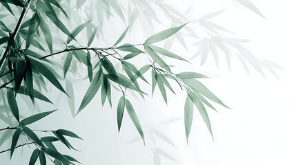 Obraz premium Elegant bamboo leaves captured in soft focus showcasing their delicate beauty and tranquility