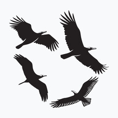 Birds vector art silhouettes.