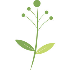 Hand Drawn Leaf