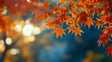 Vibrant autumn leaves showcasing rich orange hues against a blurred background, creating a warm, serene atmosphere.
