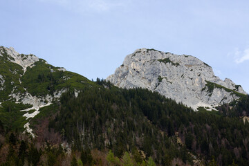 Majestic rocky mountain partially covered with green trees under a bright sky