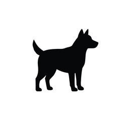 Jungle animals. Cute safari wild mammals. Funny exotic mammal, bird and reptile. Elephant, parrot, lion, crocodile, turtle and palm tree. Kids vector set.