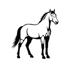 Jungle animals. Cute safari wild mammals. Funny exotic mammal, bird and reptile. Elephant, parrot, lion, crocodile, turtle and palm tree. Kids vector set.