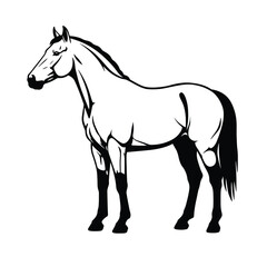 Jungle animals. Cute safari wild mammals. Funny exotic mammal, bird and reptile. Elephant, parrot, lion, crocodile, turtle and palm tree. Kids vector set.