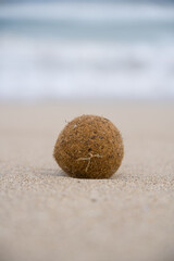 Meerball am Strand in der Nahaufnahme