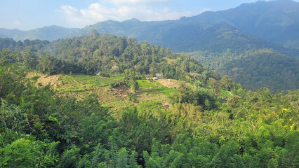 Naklejka premium rice fields in the area of ella