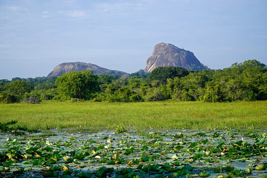 scenic landscape in yala national park