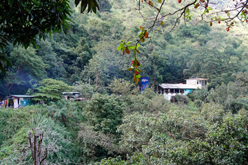 scenic green mountain landscape in sri lanka