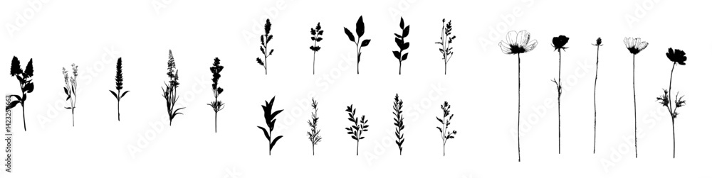 Poster vector illustration of various botanical silhouettes showcasing diverse plant forms and structures i
