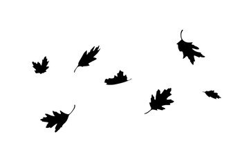 Collection of black silhouettes of falling leaves on a white background for creative design