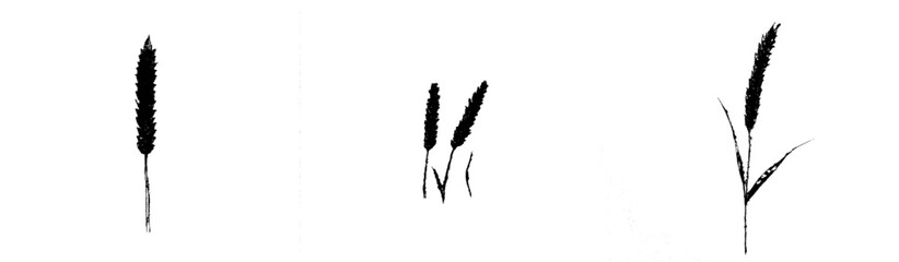Icon vector illustration of stylized plant elements depicting growth and nature in a minimalist design