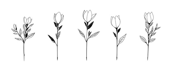 Floral icon vector illustration showcasing various stages of blooming flowers on a white background