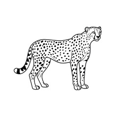 Jungle animals. Cute safari wild mammals. Funny exotic mammal, bird and reptile. Elephant, parrot, lion, crocodile, turtle and palm tree. Kids vector set.