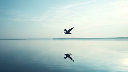 Bird flying over calm lake, reflection in water