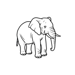 Jungle animals. Cute safari wild mammals. Funny exotic mammal, bird and reptile. Elephant, parrot, lion, crocodile, turtle and palm tree. Kids vector set.