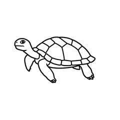 Jungle animals. Cute safari wild mammals. Funny exotic mammal, bird and reptile. Elephant, parrot, lion, crocodile, turtle and palm tree. Kids vector set.