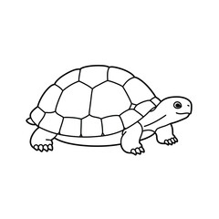 Jungle animals. Cute safari wild mammals. Funny exotic mammal, bird and reptile. Elephant, parrot, lion, crocodile, turtle and palm tree. Kids vector set.