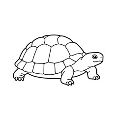 Jungle animals. Cute safari wild mammals. Funny exotic mammal, bird and reptile. Elephant, parrot, lion, crocodile, turtle and palm tree. Kids vector set.