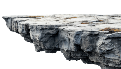 old tree bark Clipart with Transparent Background