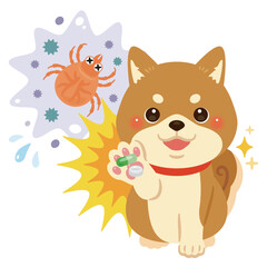 害虫を薬剤で治療して元気になる柴犬のイラスト