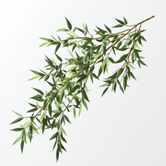 Naklejka premium green bamboo leaves