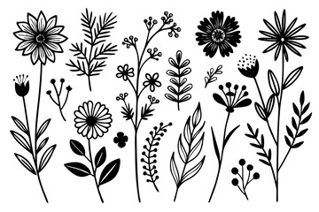 Floral Collection: An enchanting illustration featuring a curated collection of delicate flowers and botanical elements. Showcasing the elegant intricacies of floral design.