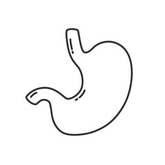 Outline stomach icon isolated flat style.