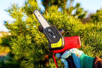 Chainsaw Cordless for pine tree pruning. Cut branch use Pruning Saw. Mini Cordless Chainsaw....