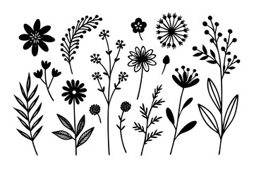 Floral Flourish: A collection of elegant monochrome floral elements, featuring delicate blossoms and intricate botanical details, perfect for creative design applications.