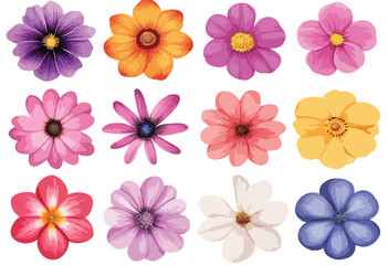 flowers vector art