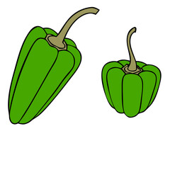 vector illustration of a green pepper and hot chili
