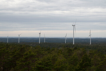 wind turbines in the field