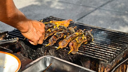 Grilling Skewered Meat on Barbecue Grill
